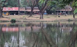 INFRASTRUKTUR SOLO : Ratusan Pohon di TSTJ Terdampak Pembangunan Parapet