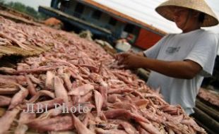 IKAN ASIN: Usaha Ikan Asin Pekalongan Terancam Berhenti Produksi