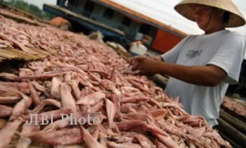 IKAN ASIN: Usaha Ikan Asin Pekalongan Terancam Berhenti Produksi