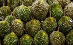 FESTIVAL DURIAN WONOGIRI : Festival Durian 2015 Batal Digelar