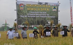  PRODUKSI PADI di Desa Jati Meningkat