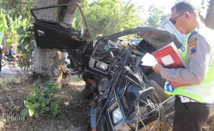 MOBIL BOX TABRAK POHON MANGGA