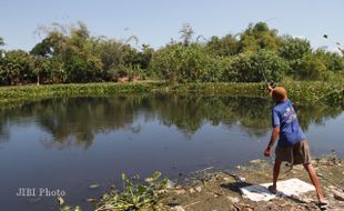 MEMANCING DI KALI MATI