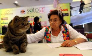  THE 46-47TH INTERNATIONAL CAT SHOW