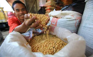  HARGA KEDELAI IMPOR Tembus Rp8.000/Kg