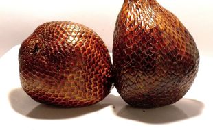 RESEP HERBAL: Salak Redakan Sembelit