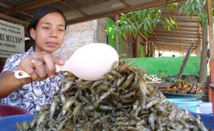 IKAN GORENG