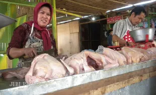 DAGING AYAM: Jelang Lebaran, Harga Daging Ayam Meroket