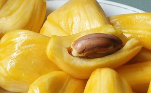 TIPS HERBAL: Nangka Perkuat Sistem Imun Tubuh