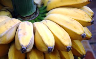 OBAT HERBAL: Pisang Kepok Redakan Mag