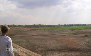 7 Waduk Mengering, Ribuan Hektare Padi Terancam