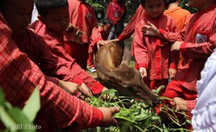 MEMBERI MAKAN RUSA