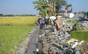 Cegah Pencurian Air, Juwiring Bangun Saluran Irigasi Teknis