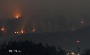 KEBAKARAN HUTAN DI LERENG GUNUNG LAWU