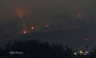 KEBAKARAN GUNUNG LAWU: Pagi Ini Tim Gabungan Lakukan Pemadaman Manual