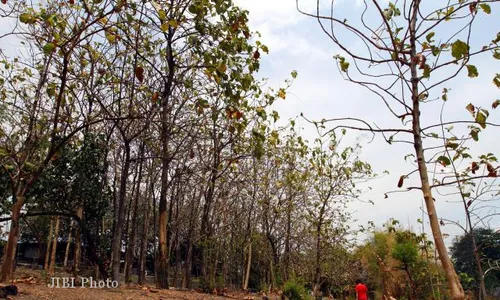 KISAH MISTERI : Taman Sekartaji Solo, Aroma Mistis hingga Kecelakaan Maut