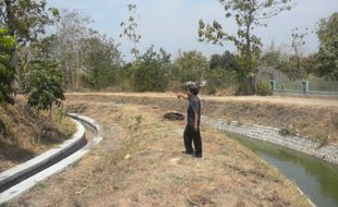 PERTANIAN KARANGANYAR : Saluran Air Terlalu Dalam, Sawah Tidak Kebagian Air