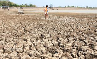 WADUK BADE KRITIS