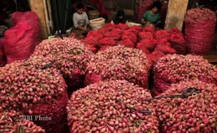 Harga Bawang Merah Anjlok, Rp3.000/Kg