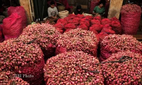 Harga Bawang Merah Anjlok, Rp3.000/Kg