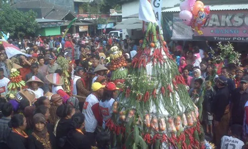 Ribuan Warga Meriahkan Sedekah Bumi di Manisrenggo