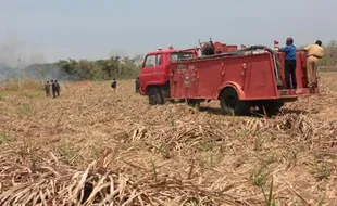 KEBAKARAN LADANG TEBU