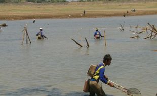   WADUK LALUNG: Pencari Ikan Dadakan Raup Keuntungan