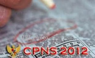   PENERIMAAN CPNS 2012: Alokasi CPNS 2013 6 Kali Lipat dari Tahun Ini