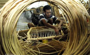 STOK ROTAN: Sistem Buffer Stock Perlu Dikaji