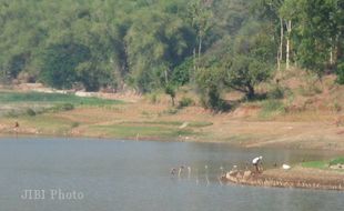 SEDIMENTASI: Petani Desak Pemerintah Keruk Waduk Krisak