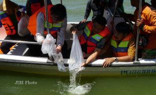 TEBAR BENIH IKAN PATIN