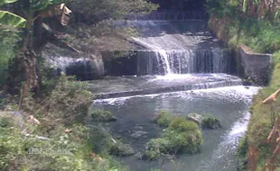 SUNGAI JENES BERBAU BUSUK