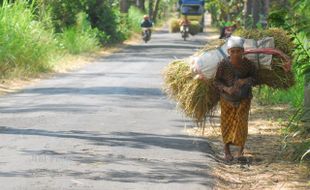 JALAN KARANGNONGKO-JIWAN