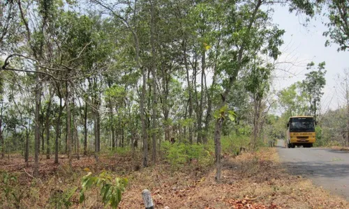 HUTAN RAKYAT