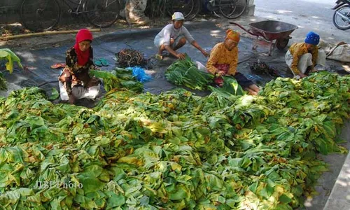 Demi Dapur, Pekatnya Aroma Tembakau Tak Dirasakan Lagi