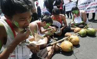 AKSI TEATRIKAL PENDERITAAN PETANI KELAPA