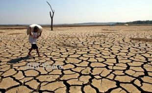 KEKERINGAN SRAGEN : 20 Hari Tidak Hujan, 114 Ha Sawah Terancam Gagal Panen