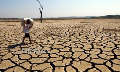 KEKERINGAN SRAGEN : 20 Hari Tidak Hujan, 114 Ha Sawah Terancam Gagal Panen