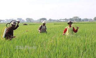 Jelang Musim Tanam, Petani Boyolali Digelontor Bantuan Benih Padi 