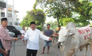   BUPATI KLATEN SERAHKAN HEWAN KURBAN