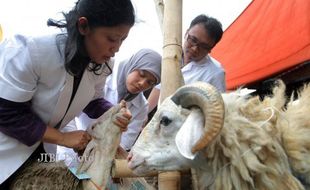 Izin pemeriksaan kepala daerah 