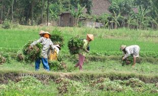 PERDESAAN BANTUL : Panggungharjo Alokasikan Dana Khusus untuk Difabel