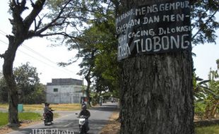 Petani Tlobong Keluhkan Ulah Pencari Cacing