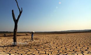 KEMARAU 2015 : Duh, Air 3 Waduk di Jatim Ini Ludes…