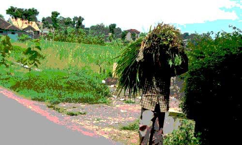 PEMBERDAYAAN DESA: Hargowilis dan Temon Wetan Kebut Proposal