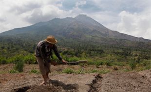 BENCANA GUNUNG MERAPI : Relokasi Belum Tuntas