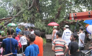 Angin Kencang Terjang Sragen, 6 Kios Rusak