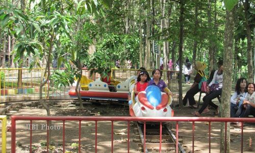   TAMAN EDUKASI NDAYU PARK