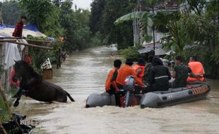 MENYISIR PERKAMPUNGAN