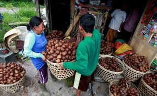 Sirup Salak Diharapkan Jadi Minuman Penyambut Tamu